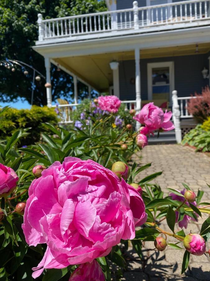 Toba'S Bed & Breakfast Lunenburg Eksteriør bilde