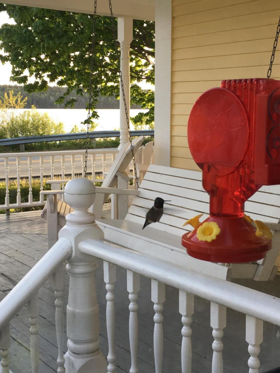 Toba'S Bed & Breakfast Lunenburg Eksteriør bilde